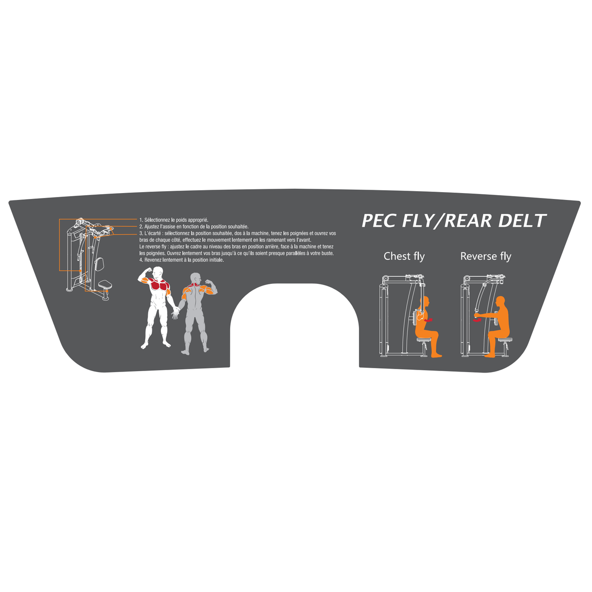 Pectoraux et Deltoïdes HEUBOZEN - FitnessBoutique