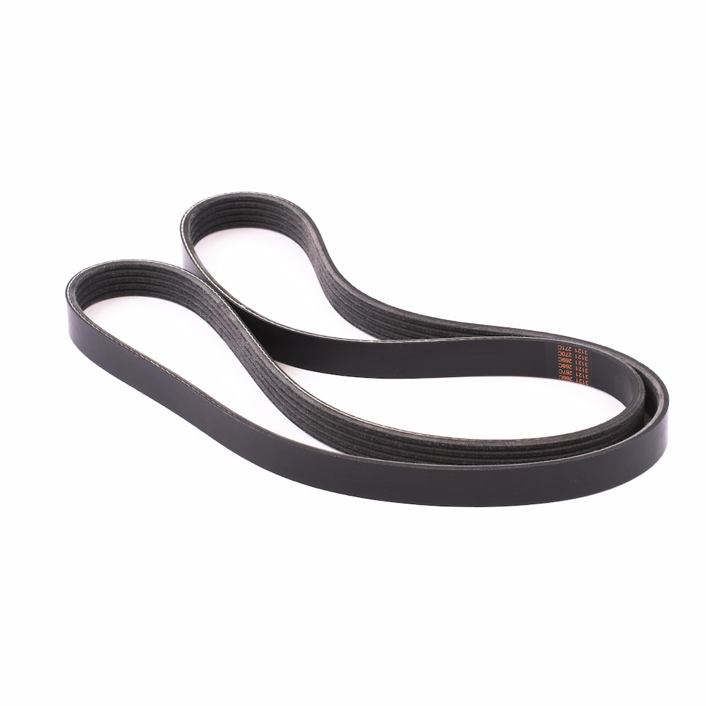 Courroie MOOVYOO - FitnessBoutique